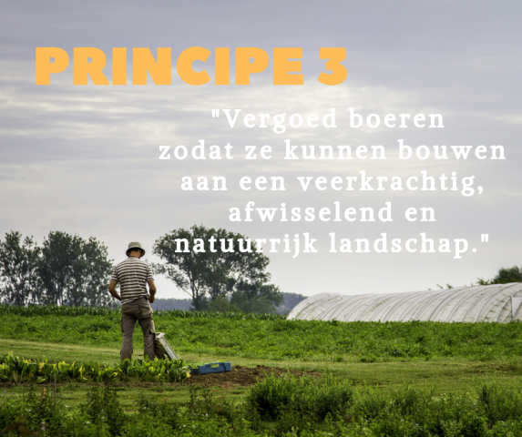 Principe 3: Vergoed boeren voor ecosysteemdiensten