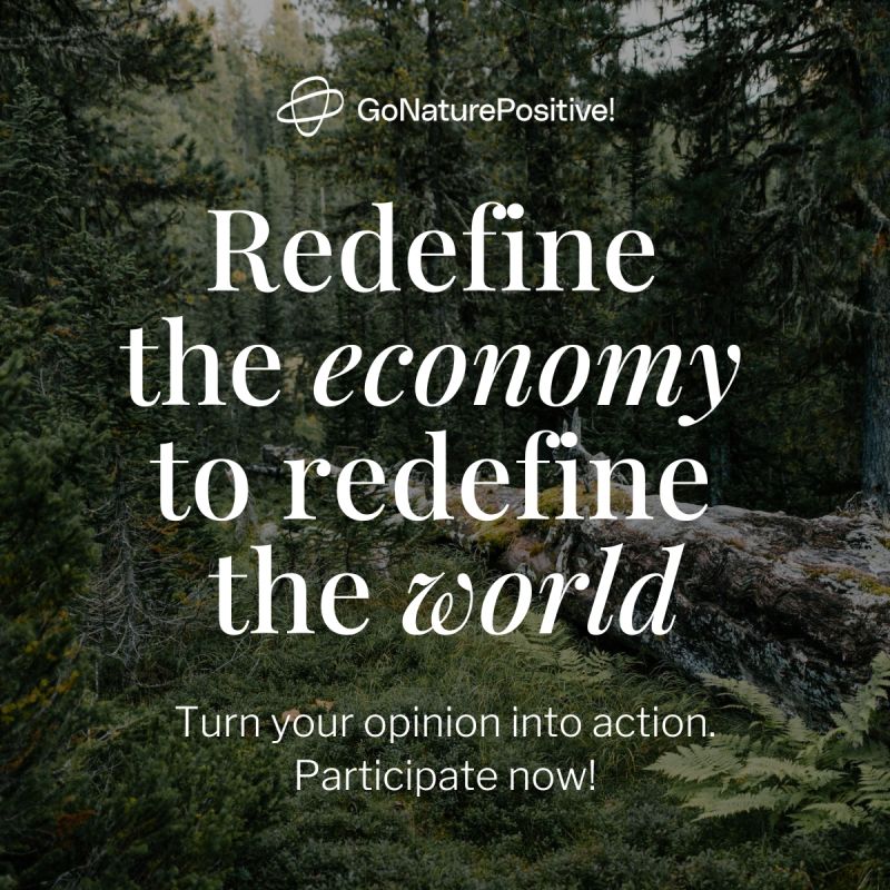 Redefine the economy to redefine the world