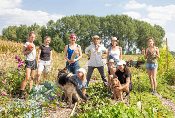 De oogst bij Zilt en Zoet is een team effort.