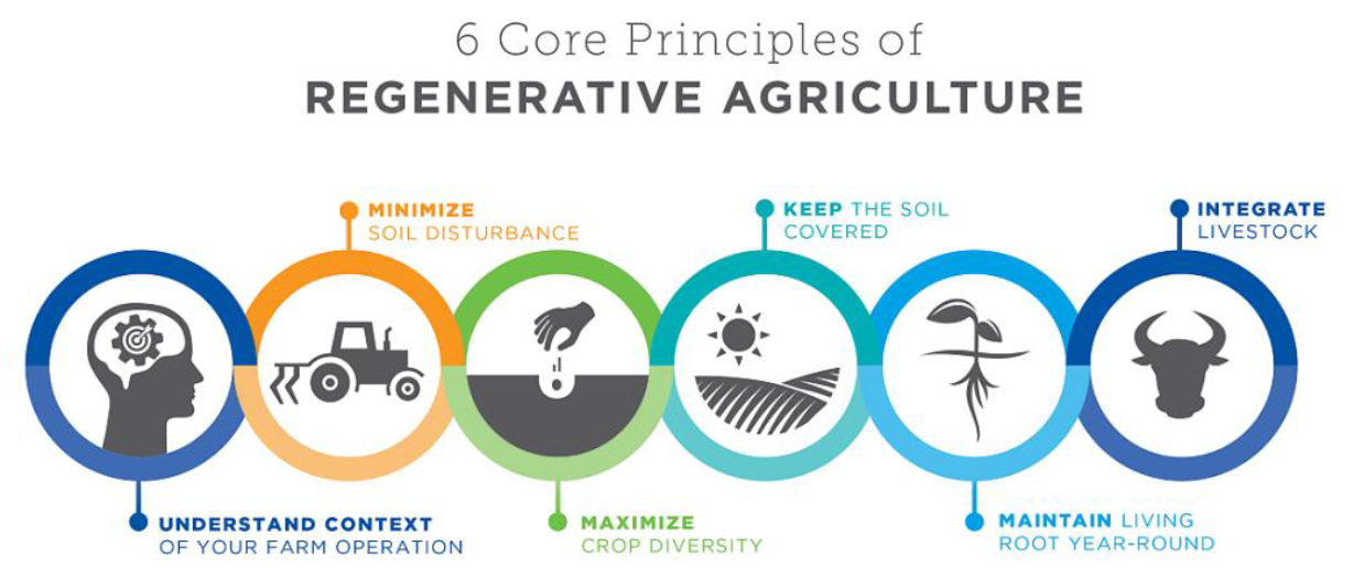 6 principes van regeneratieve landbouw
