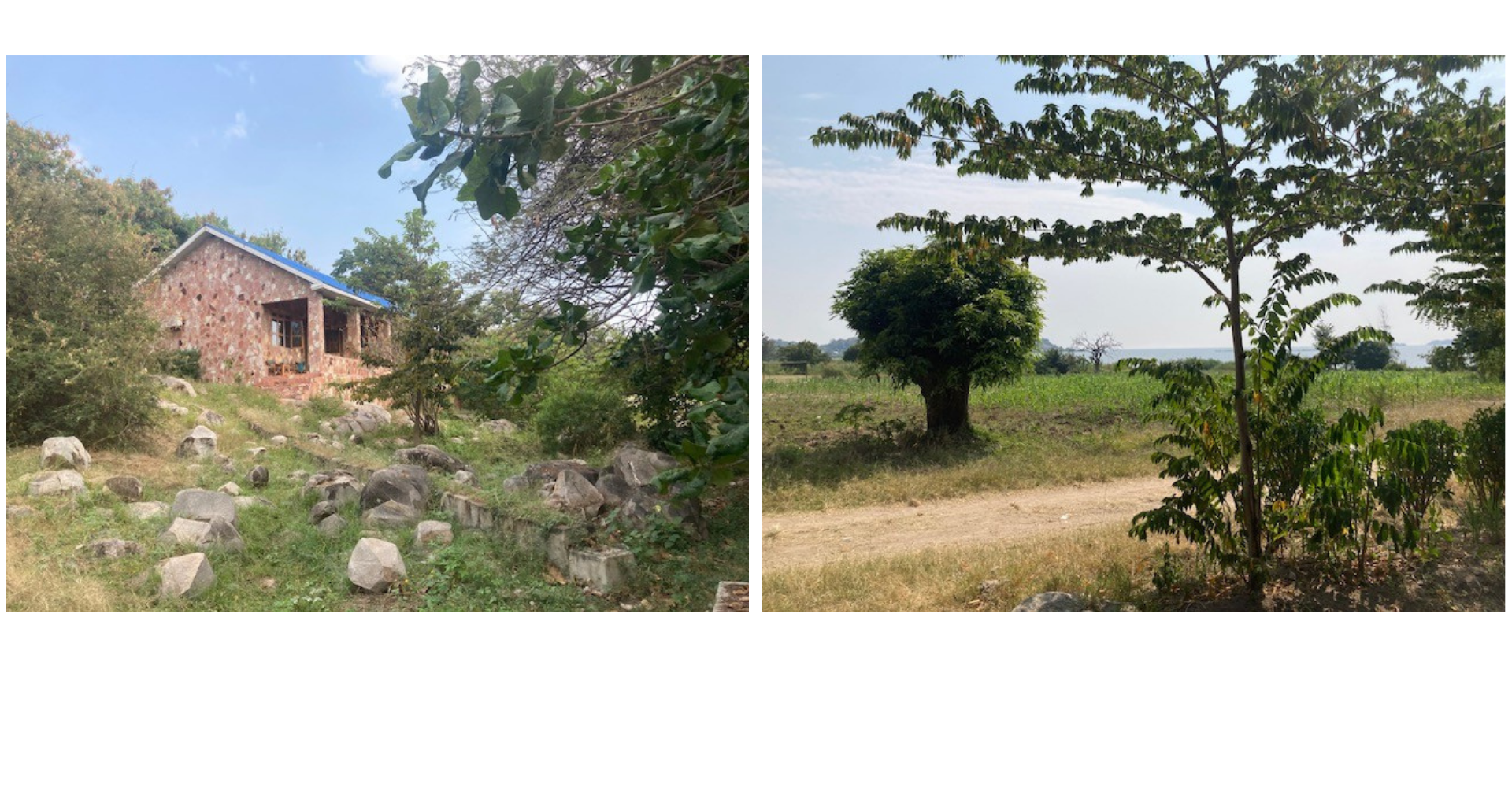 Sfeerbeelden Mainsprings