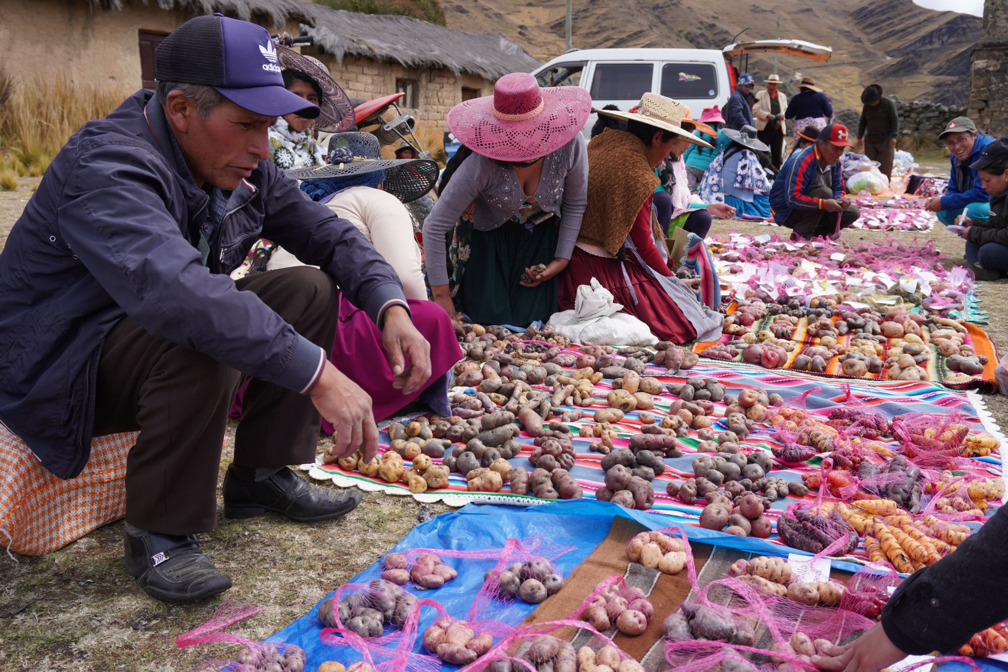 Boliviaanse markt met knollen
