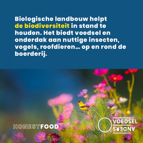 Biodiversiteit