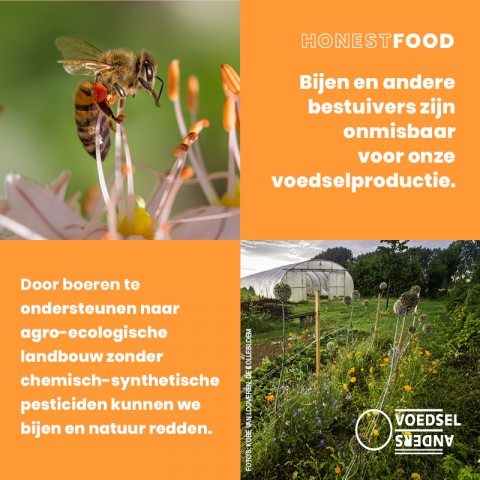 Biodiversiteit 3