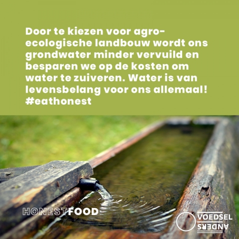 Biodiversiteit 4