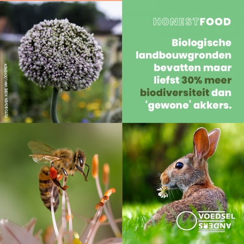 Biodiversiteit 5