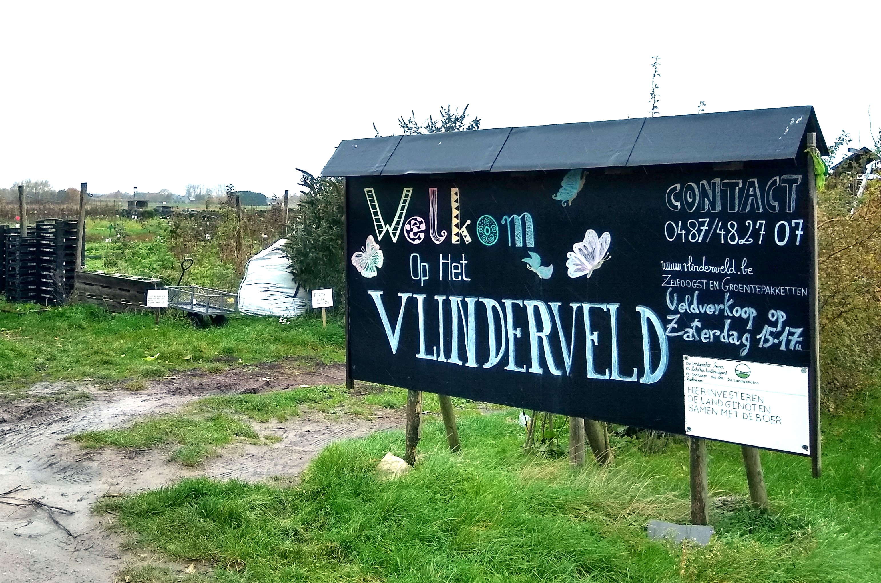 Welkom op het Vlinderveld