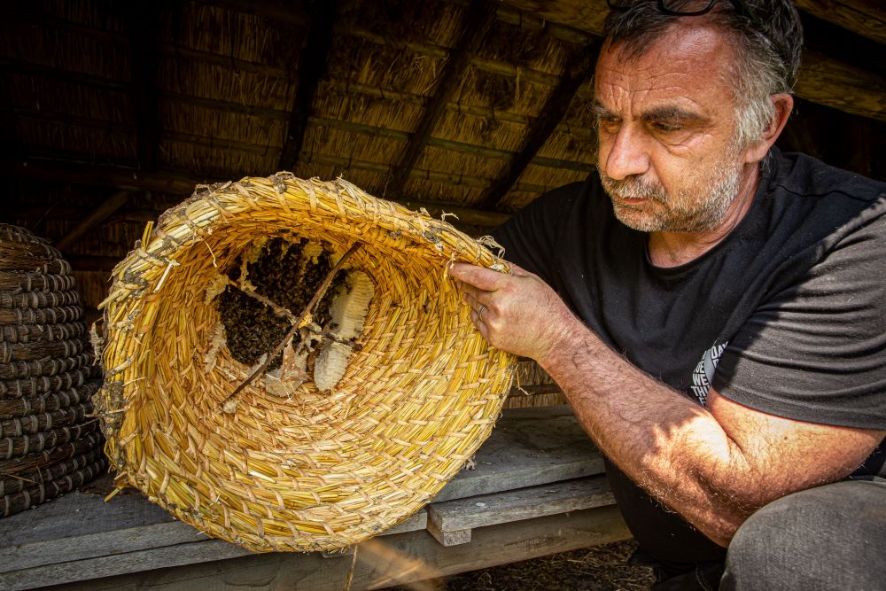 Zorgimkerij Immegaard: de eerste Vlaamse bio-imker