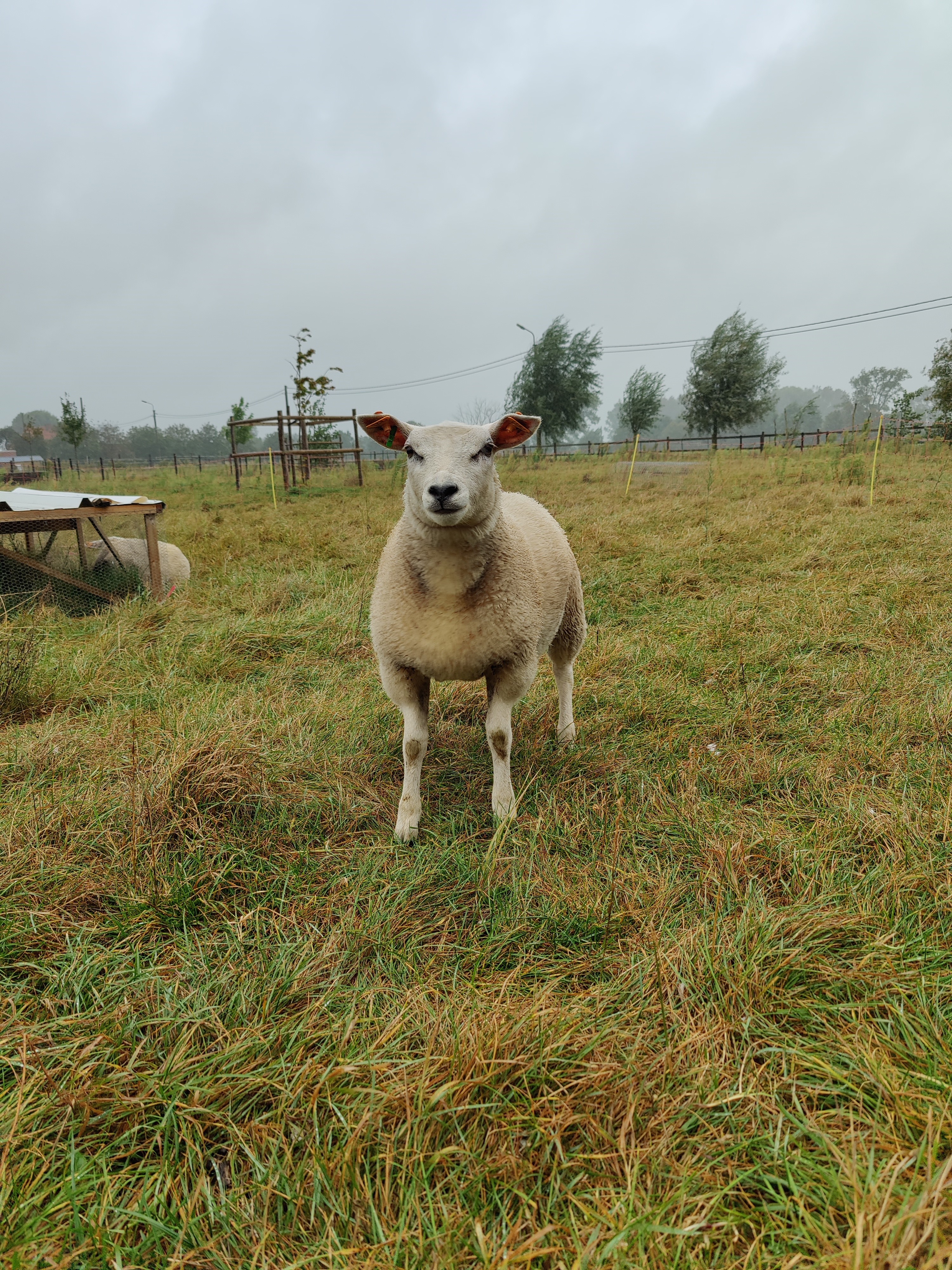 De SmaakBoerderij