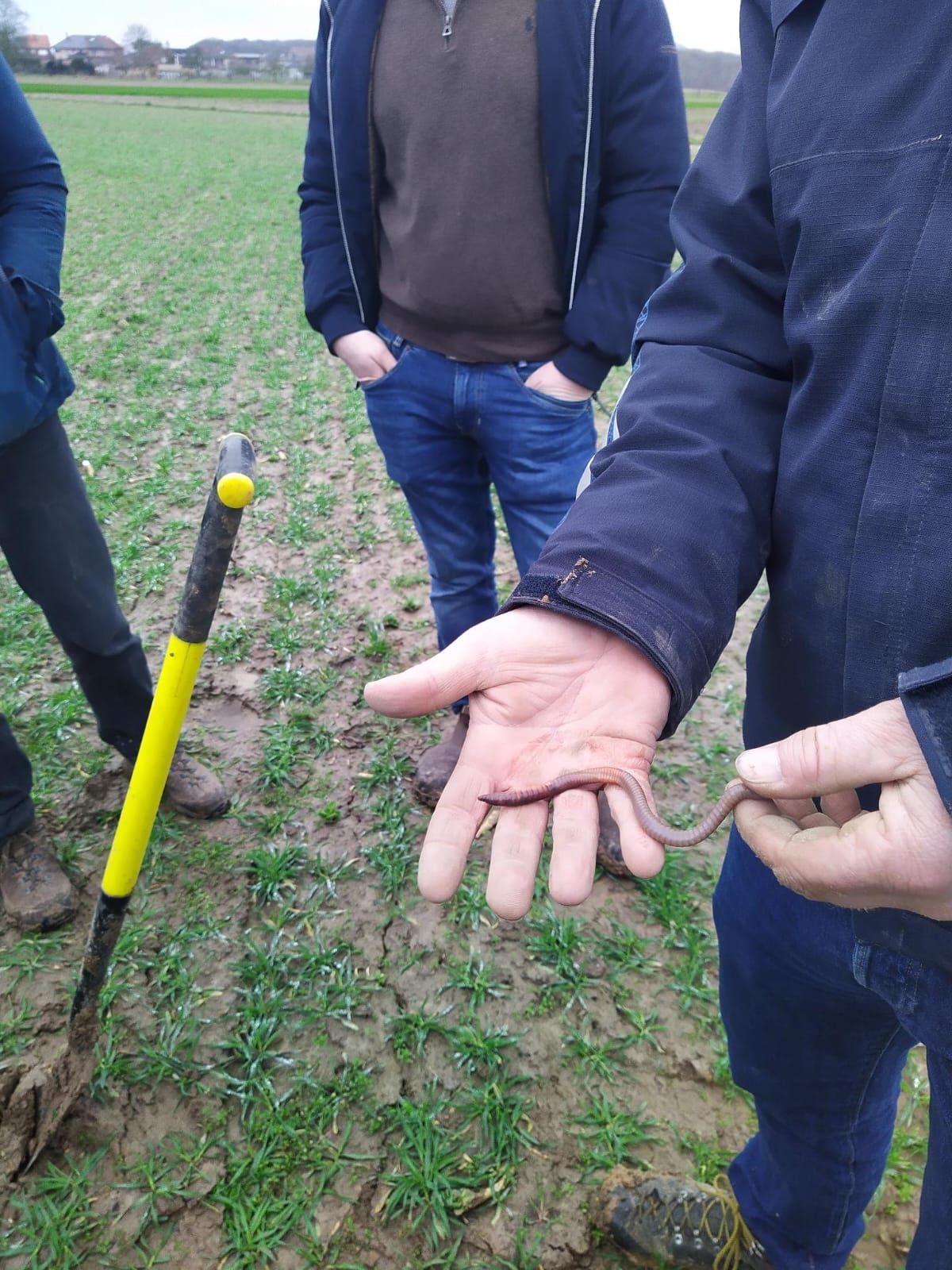 Lerend netwerk jonge boeren