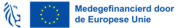 Medegefinancierd door de EU