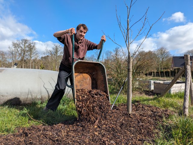 Man met kruiwagen vol mulch
