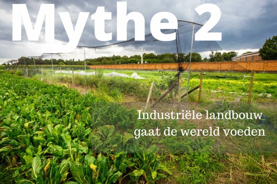 Mythe 2: Industriële landbouw kan de wereld voeden