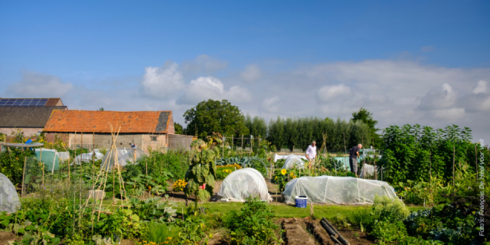 Samentuin_Tielt_sfeerbeeld