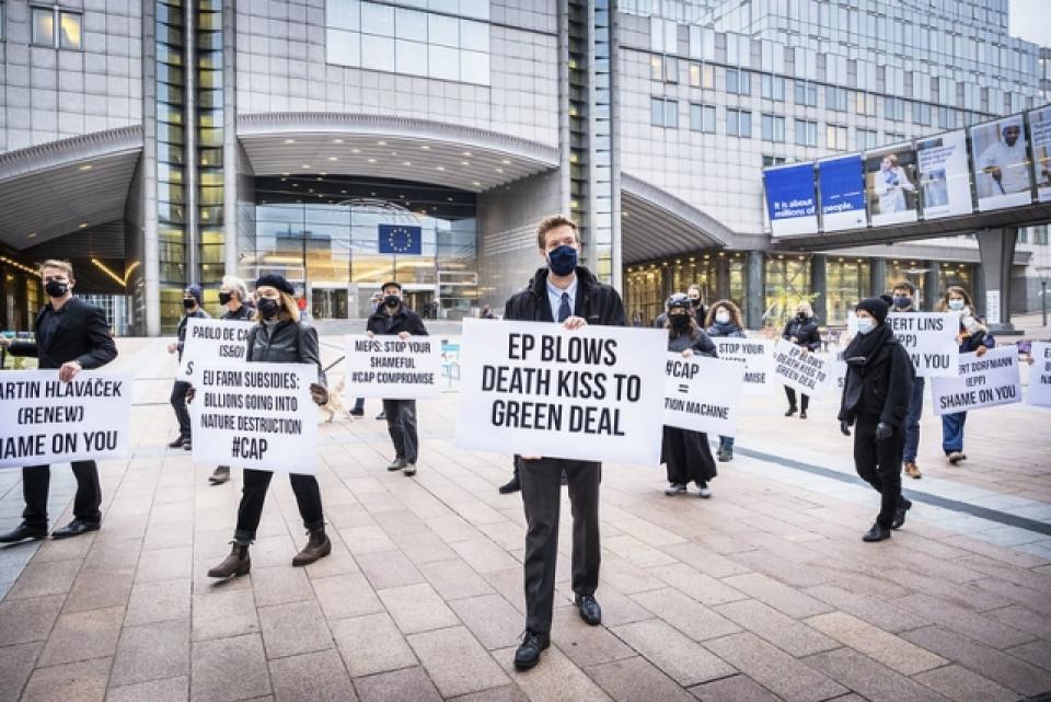 Activisten die staan voor een agro-ecologisch model van landbouw een flashmob voor de gebouwen van het EU-Parlement