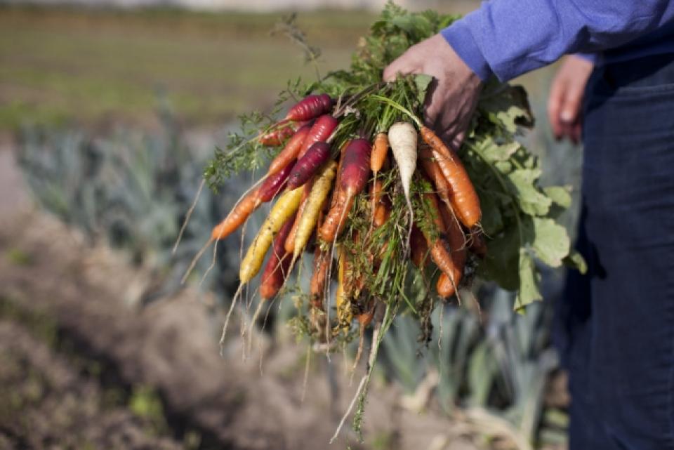 Rawijs - (c) Astrid Agemans voor BioForum