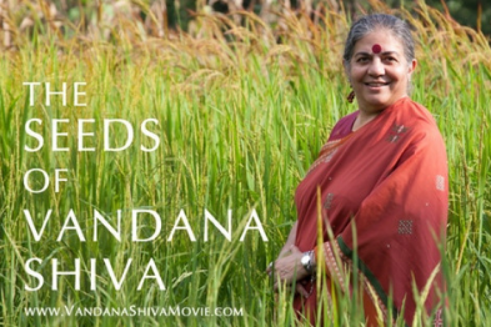 The seeds of Vandana Shiva