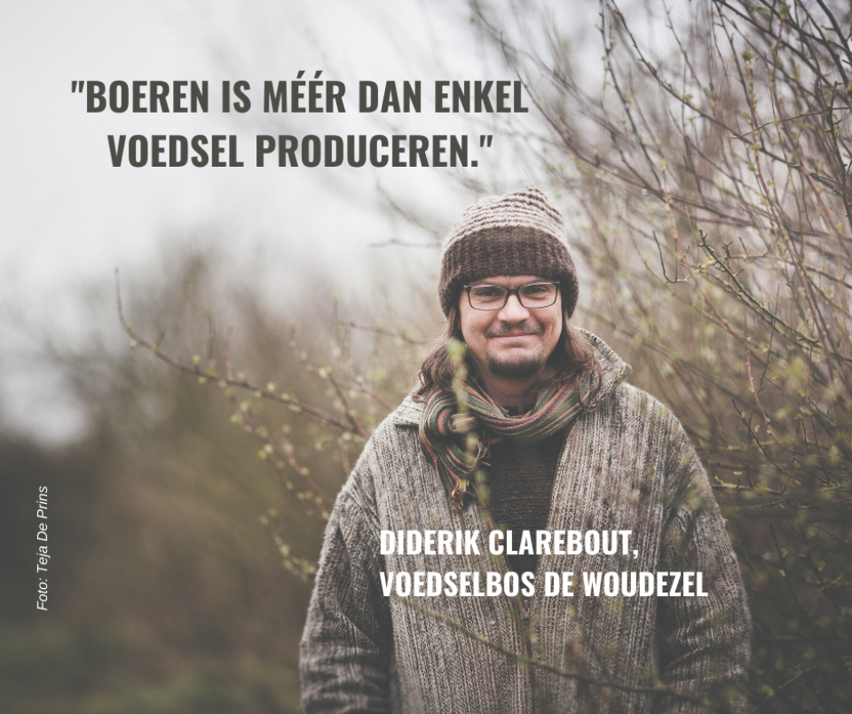 Voedselbos de Woudezel, Diderik Clarebout