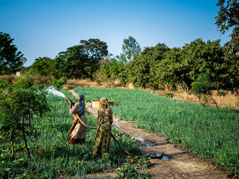 boerinnen in Senegal, Solidagro