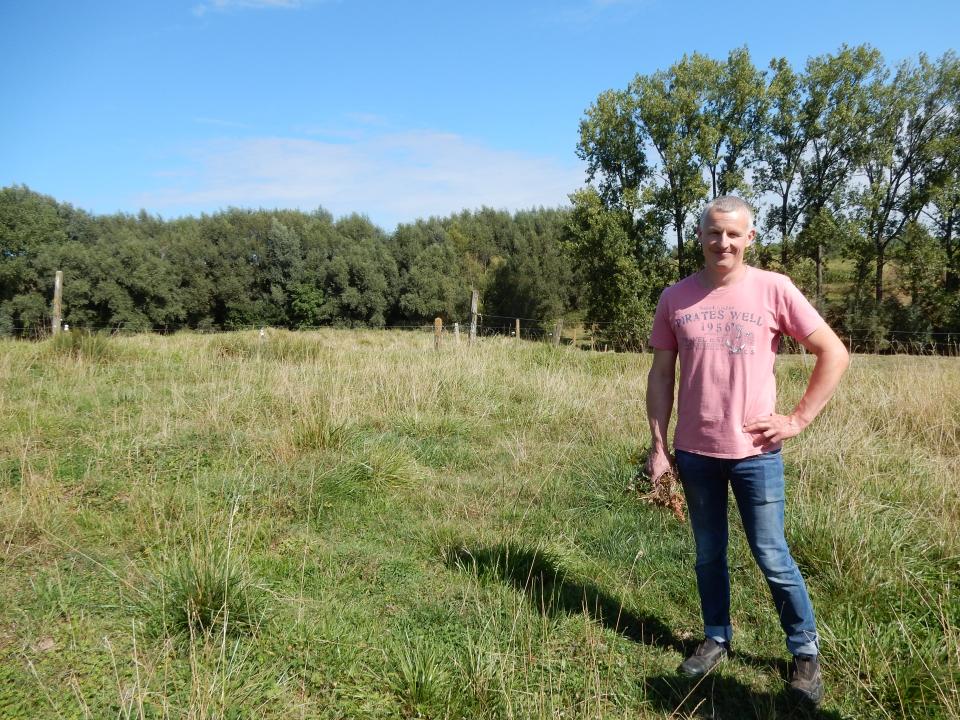 Boer Frank zal zijn koeweides beplanten met appelboomgaarden