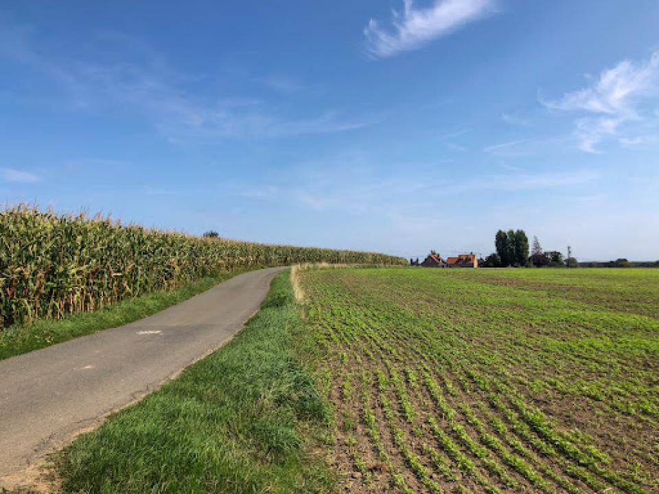 Open veld