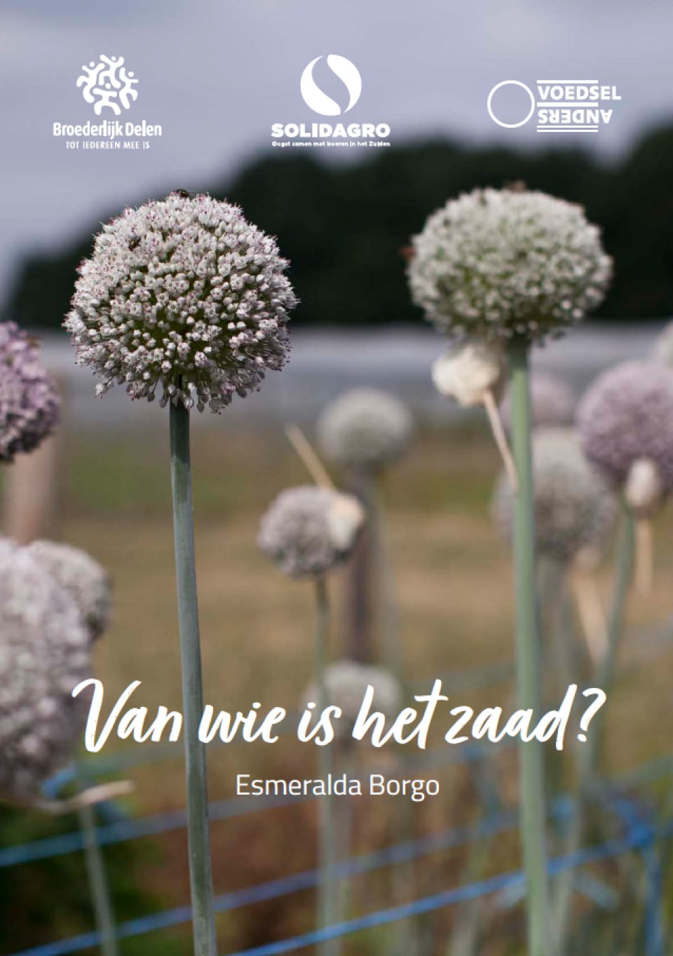 van wie is het zaad