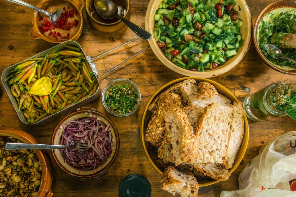 Junglekoken in voedselbos De Zoetenhof 