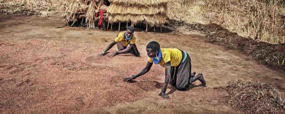 Twee Afrikaanse vrouwen op de grond werken met zaden