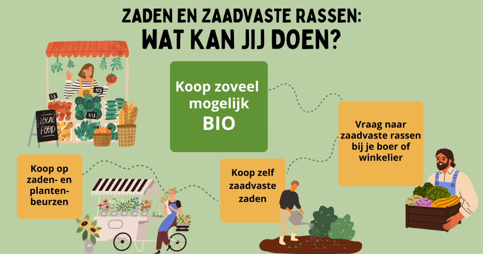Zaden en zaadvaste rassen: wat kan jij doen?