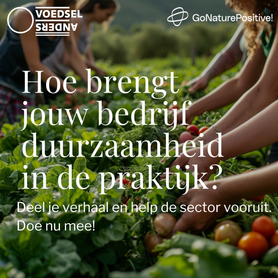 Hoe brengt jouw bedrijf duurzaamheid in de praktijk?