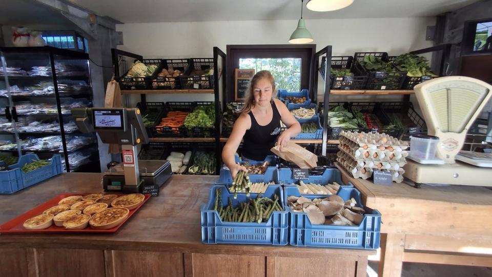 Delfien in de hoevewinkel van De Seizoensschuur