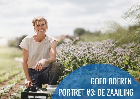 De Zaailing