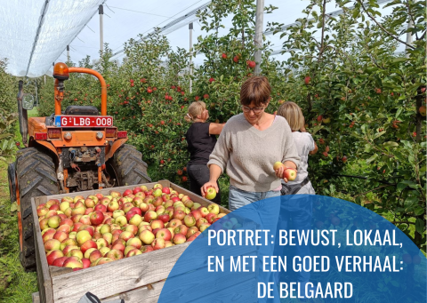 De Belgaard
