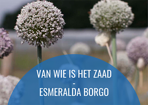 van wie is het zaad