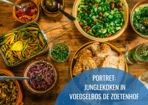 Junglekoken in voedselbos De Zoetenhof 