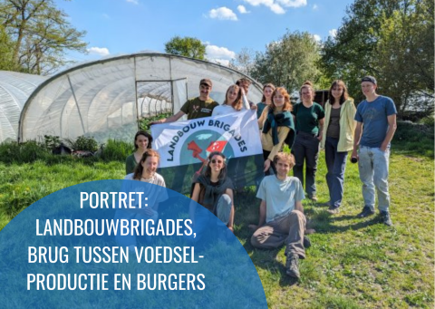 Groep met vlag landbouwbrigades