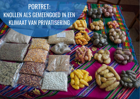 Portret: knollen als gemeengoed in een klimaat van privatisering