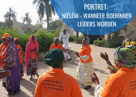 Vorming Niéléni