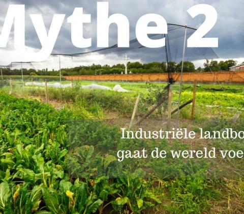 Mythe 2: Industriële landbouw kan de wereld voeden