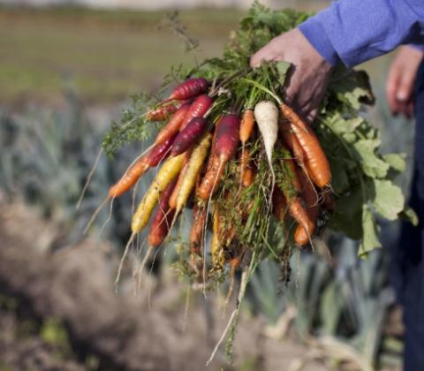 Rawijs - (c) Astrid Agemans voor BioForum