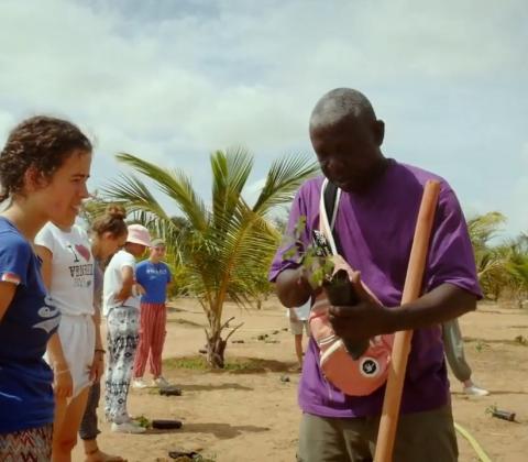 Solidagro, sfeerbeeld uit video