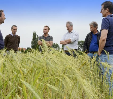 De Trog, bakker Hendrik Durnez, Lieven Delanotte van Inagro en de biotelers van Biograno.