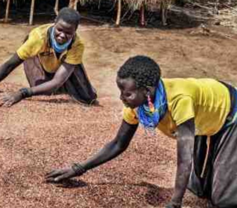 Twee Afrikaanse vrouwen op de grond werken met zaden