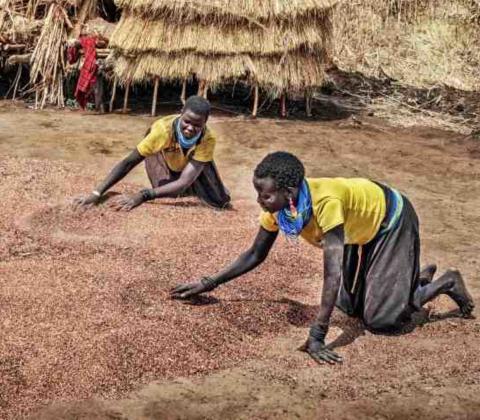 Twee Afrikaanse vrouwen op de grond werken met zaden