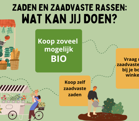 Zaden en zaadvaste rassen: wat kan jij doen?