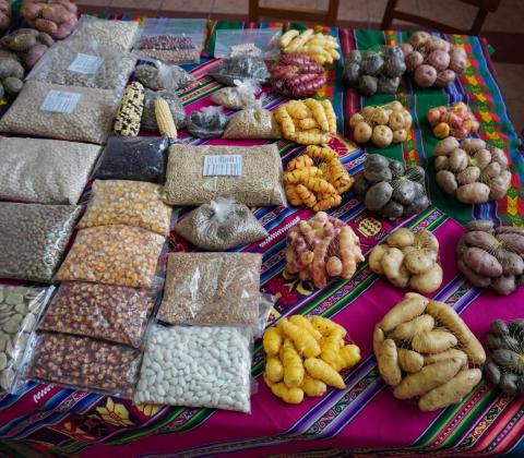 Verschillende kleuren en vormen van Boliviaanse knollen